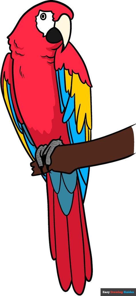 Learn How to Draw a Scarlet Macaw: Easy Step-by-Step Drawing Tutorial for Kids and Beginners. See the full tutorial at https://easydrawingguides.com/how-to-draw-a-scarlet-macaw/ . Parrot Drawing Step By Step, Macaw Parrot Drawing, Parrot Drawing Easy, Macaw Drawing, Bird Drawing Ideas, Easy Bird Drawing, Draw Bird, Jungle Drawing, Macaw Art