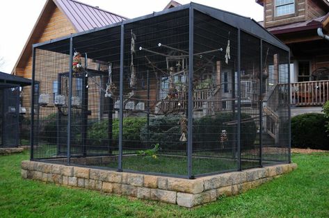 Outdoor Aviary, Aviary Ideas, Pigeon Cage, Pet Bird Cage, Large Bird Cages, Parrot Pet, Outdoor Cat Enclosure, Bird House Kits, Bird Aviary