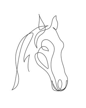 Horse Line Drawing, Animal Lover Tattoo, Line Drawing Images, Horse Tattoo Design, Bird Paintings On Canvas, Drawing Scenery, Bird Paintings, Horse Tattoo, One Line Drawing