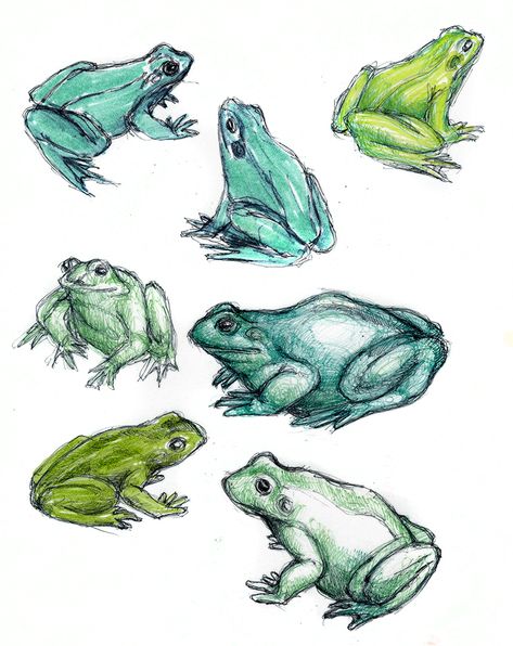 These frogs are drawn with a BIC back stick pen. Colored with either green ballpoint pens and/or green marking pens. Frog Pen Drawing, Frog Colored Pencil Drawing, Frog Concept Art, Frog Line Art, Green Drawings, Frog Reference, Green Drawing Ideas, Frog Drawing Sketches, Tree Frog Art