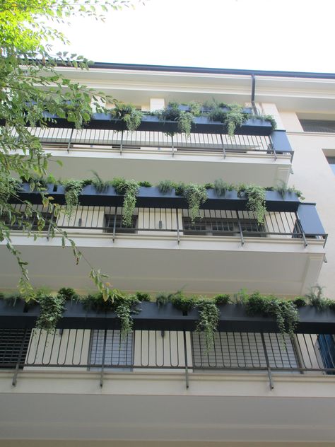 Balcony Hanging Plants, Balcony Planter Boxes, Balcony Planters, Fence Plants, Balcony Grill, Railing Planters, Balcony Plants, Balcony Railing, Wall Garden