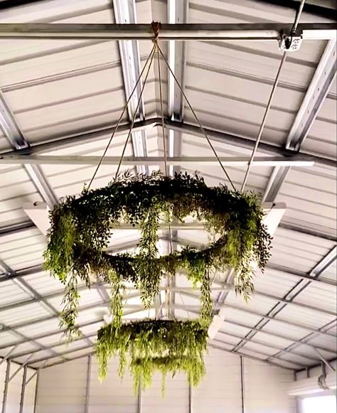 Diy Leaf Chandelier, Hula Hoop Greenery Chandelier, Hoola Hoop Floral Chandelier, Hula Hoop Chandelier Christmas, Grapevine Chandelier Diy, Moss Decorations Wedding, Hula Hopp Wedding Decor, Moss Chandelier Diy, Hula Hoop Flower Chandelier