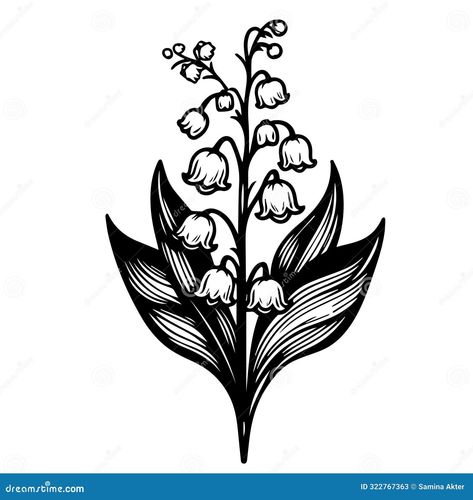 Aesthetic Flower Cluster Drawing, Birth Flower Vector Illustration, Beautiful Lily of the Valley Flower Wall Decor, Stock Vector - Illustration of sketch, plant: 322767363 Lily Of The Valley Vector, Flower Cluster Drawing, Line Art Lily, Cluster Drawing, Flower Wall Design, Flower Vector Illustration, Sea Texture, Lily Of The Valley Flowers, Flower Vector