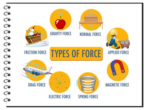 Types of force for children physics educational poster Normal Force, Educational Poster, Education Poster, Posters Art Prints, Vector Art, Physics, Force, For Free, Clip Art