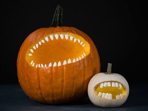 Here are five super easy and creative pumpkin carving ideas. Beware—you will have the best jack-o'-lantern on the block. Small Pumpkin Carving Ideas, Jack O Lantern Ideas, Pumpkin Mouth, Pumkin Carving, Creative Pumpkin Carving, Easy Pumpkin Carving, Pumpkin Carving Designs, Pumpkin Carving Ideas, Lantern Ideas