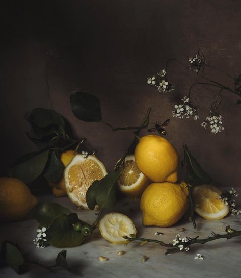 2,835 Likes, 103 Comments - Jamie Beck (@annstreetstudio) on Instagram: “Still life with lemons & bee... 🍋🍋🍋🐝 {watch me build, shoot, and edit this in stories! It feel so…” Bee Watch, Jamie Beck, Fine Art Painting Oil, Still Life Photos, Chinoiserie Wallpaper, Fruit Painting, Still Life Drawing, Still Life Art, Antique Paint