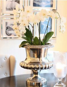 ZsaZsa Bellagio – Like No Other: The Elegant Home love using silver champagne buckets for flowers Bucket Decor, Gray Interiors, Orchid Flower Arrangements, Silver Display, Bucket Ideas, Vase With Flowers, Champagne Bucket, Orchid Arrangements, Champagne Buckets