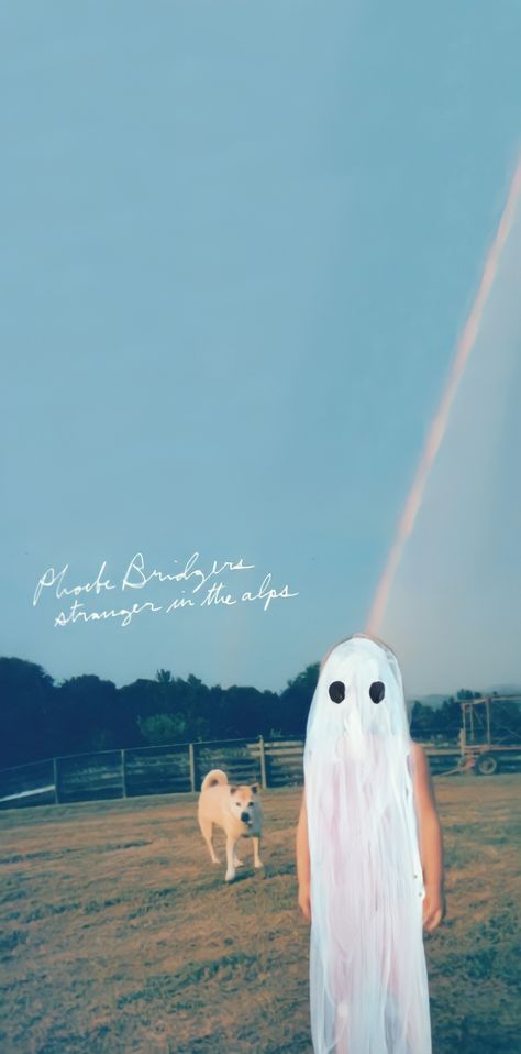 Stranger in the alps Phoebe Bridgers Album Cover, Phoebe Bridgers Wallpaper, Stranger In The Alps, Motion Sickness, Dorm Posters, Phoebe Bridgers, Music Backgrounds, Music Artwork, The Alps