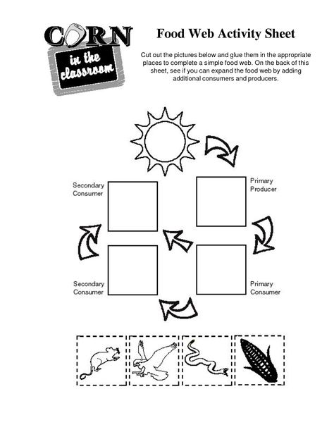 Food Chain Activity Simple Food Web, Simple Food Chain, Food Chain Game, Food Chain Activities, Food Chain Worksheet, Food Web Worksheet, Food Web Activities, Ocean Food Chain, Activities Printable