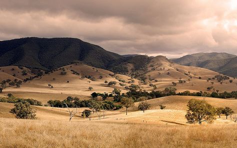 Conners Hill - East Gippsland Shire, Victoria, Australia | Flickr - Photo Sharing! Dual Screen Wallpaper, Australia Pictures, Flying The Nest, Australia Landscape, Sci Fi Wallpaper, Australian Road Trip, Australian Flora, The Nest, Victoria Australia