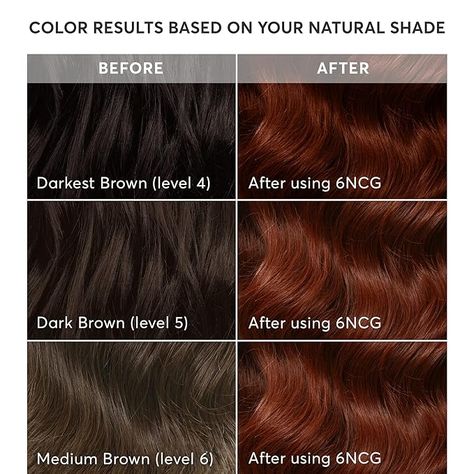 Madison Reed Radiant Hair Color Kit, Medium Amaretto Red for 100% Gray Coverage, Ammonia-Free, 6NCG Sardinia Red, Permanent Hair Dye, Pack of 1 #AD Golden Red Hair, Natural Light Brown Hair, Medium Red Hair, Light Brown Hair Dye, Natural Brown Hair, Which Hair Colour, Madison Reed, Dyed Red Hair, Brown Hair Dye