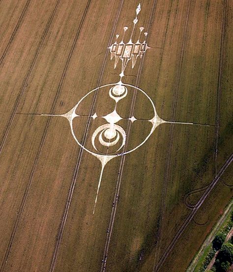 40 Another World Crop Circle Arts Drawn By Humans - Bored Art Crop Circles Sacred Geometry, Circle Geometry, Bored Art, Nazca Lines, Crop Circle, Architecture Tattoo, Crop Circles, St Bernard, Alien Art