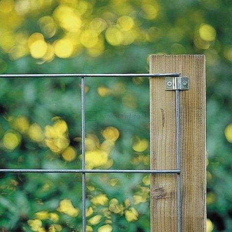 Backyard Wood Fence, Wooden Fence Design, Wood Fence Ideas, Fence Ideas, Vegetable Garden Design, Backyard Fences, Wooden Fence, Wood Fence, Garden Trellis