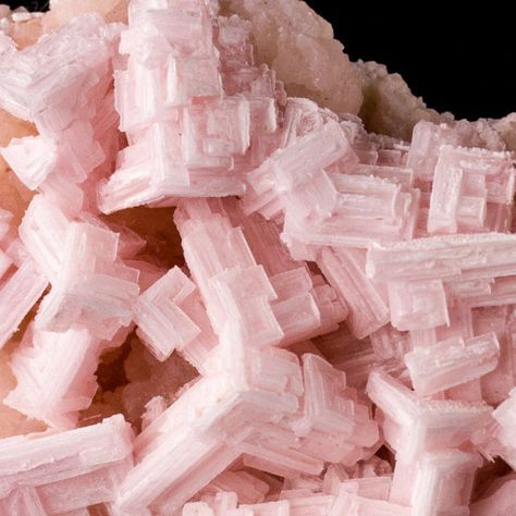 Minerals - Crystals - Fossils Pink Halite, Creation Of Earth, Organic Structure, Love Rocks, Life Form, An Aesthetic, Gems And Minerals, Crystals Minerals, Crystal Points