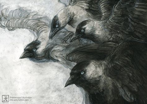 Jana Heidersdorf, Dark Souls 4, Mine Photo, Bran Stark, Jackdaw, Raven Art, Film Poster Design, Black Birds, Book Illustration Art