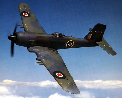 Wwii Airplane, Wwii Fighters, Wwii Plane, British Aircraft, Aircraft Photos, Ww2 Planes, Navy Aircraft, Wwii Aircraft, Ww2 Aircraft