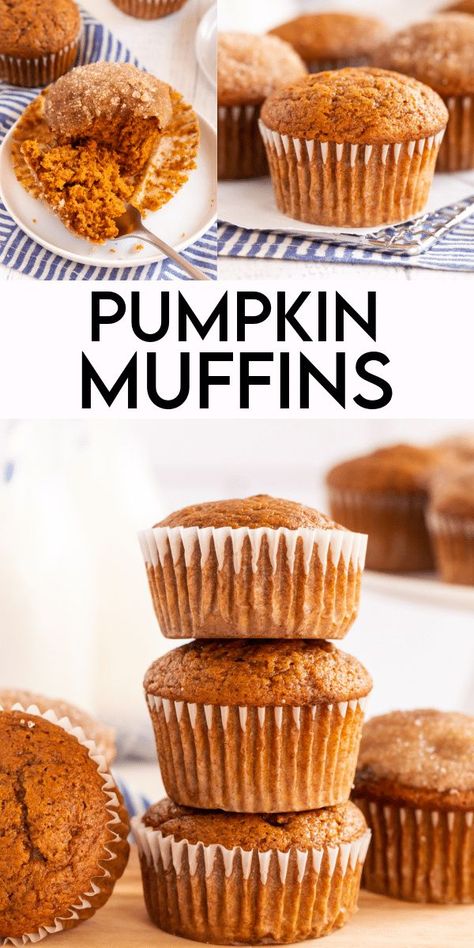 Pumpkin Muffins are bursting with pumpkin, cinnamon and a touch of nutmeg! Enjoy them as is or dip in melted butter and cinnamon sugar. Easy Pumpkin Muffins, Best Pumpkin Muffins, Pumpkin Muffins Easy, Pumpkin Muffin Recipes, Thanksgiving Traditions, Muffin Recipe, Vegan Kitchen, Best Pumpkin, Pumpkin Muffins