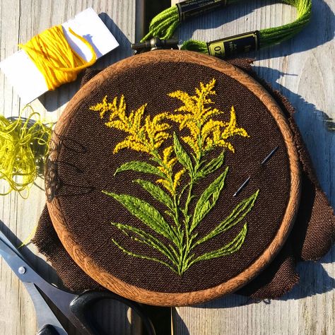 Golden Rod Embroidery, Goldenrod Embroidery, Goldenrod Flower, Golden Rod, Embroidered Art, Floral Fashion, Drawing Board, Still Working, Embroidery Inspiration