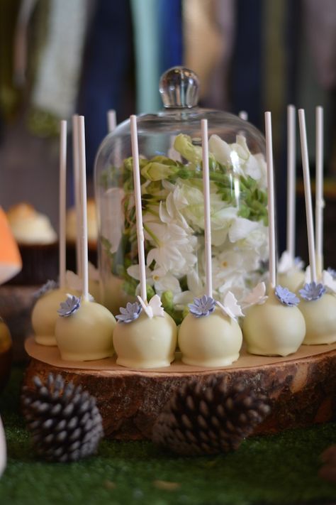 Tea Party Cake Pops, Fall Cake Pops, Woodland Party Ideas, Stump Cake, Tree Stump Cake, Cake Pops Ideas, Fairy Baby Showers, Animal Decorations, Tea Party Cake