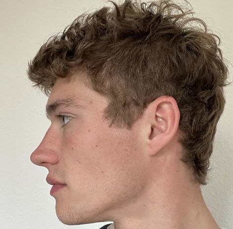 Short Mullet Curly Hair, Mullet Curly Hair, Mullet Curly, Guy Haircuts, Male Haircuts Curly, Short Mullet, Men Haircut Curly Hair, Shaggy Short Hair, Men's Short Hair