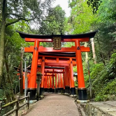 Fushimi Inari Taisha: Kyoto's Iconic Shrine of 10,000 Torii Gates Sketching Buildings, Peaceful Garden, Fushimi Inari Taisha, Fushimi Inari, Torii Gate, Shinto Shrine, Garden Entrance, Kyoto Japan, Urban Sketching