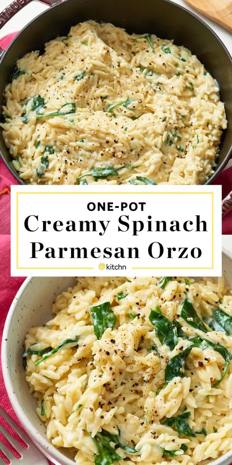 Dinner With Meat And Veggies, Orzo Parmesan Spinach, Instapot No Meat Recipes, East Weekday Meal, Creamy Garlic Orzo Pasta, Dinner Recipes Using Spinach, Orzo Recipes With Spinach, One Serving Dinner Recipes, Spinach And Orzo Recipes