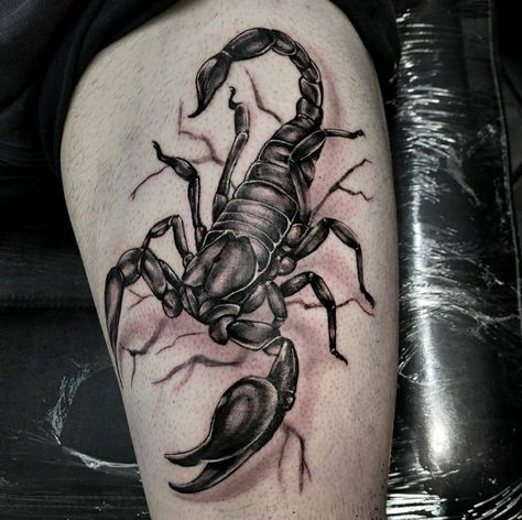 Detailed Scorpion Tattoo, Men’s Scorpion Tattoo, Goth Scorpion Tattoo, Scorpio Tattoo Designs For Men, Scorpio Tattoos Men, Scorpion Tattoos Men, Scorpion Tattoo On Arm, Tattoo Scorpion Men, Scorpion Tattoo For Men Arm