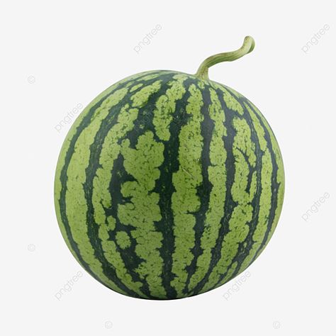 Watermelon Vector, Watermelon Cartoon, Watermelon Illustration, Summer Juice, Fruit Png, Happy Fruit, Fruit Watermelon, Insta Account, Fruit Fresh