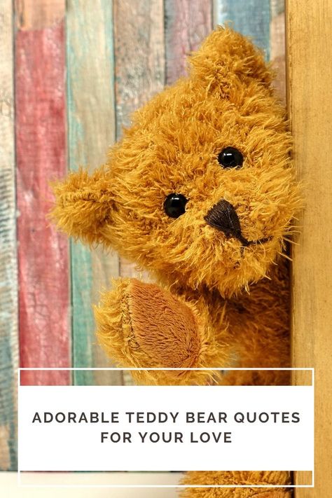 Teddy bear quotes Teddy Bear Quotes Cute, Teddy Bear Quotes For Instagram, Teddy Bear Captions For Instagram, Bear Sayings, Quotes For Your Love, Bear Quotes, Teddy Bear Quotes, Puppy Quotes, Teddy Bear Puppies