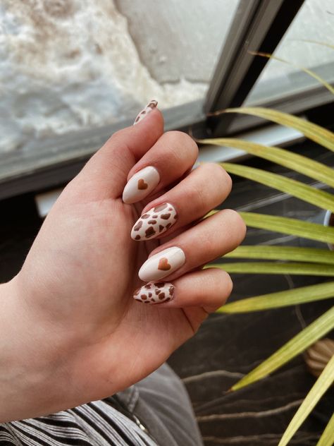 Reverse Cow Print Nails, Easy Nail Designs Cow Print, Almond Nails Designs Cow Print, Autumn Cow Print Nails, Cow Print Manicure, Brown Cow Nails Designs, Cow Print Nail Ideas Short, Cow Nails Almond Shape, Subtle Cow Print Nails