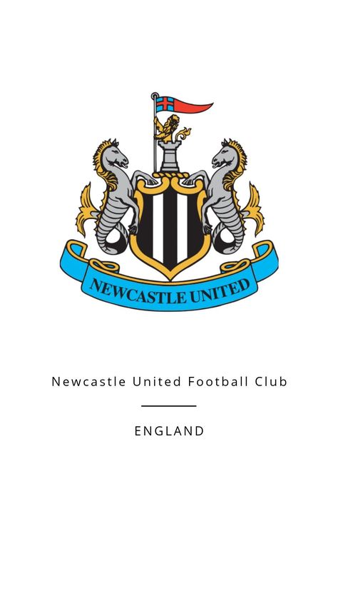 New Castle United Fc, Newcastle United Wallpapers, Newcastle United Football, Great Wallpapers, United Wallpaper, New Castle, England Football, Newcastle United, Newcastle