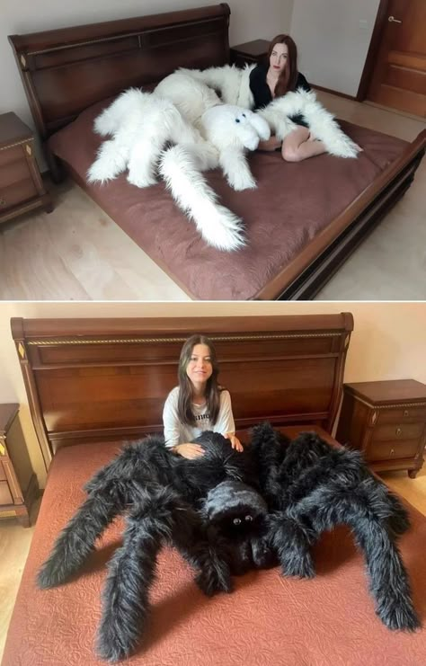 Giant Spider Plush, Room Idea Decoration, Spider Plush Pattern Free, Cool Stuffed Animals, Spider Fursuit, Spider Plush Pattern, Stuff For Bedrooms, Spider Stuffed Animal, Cool Bedroom Decor