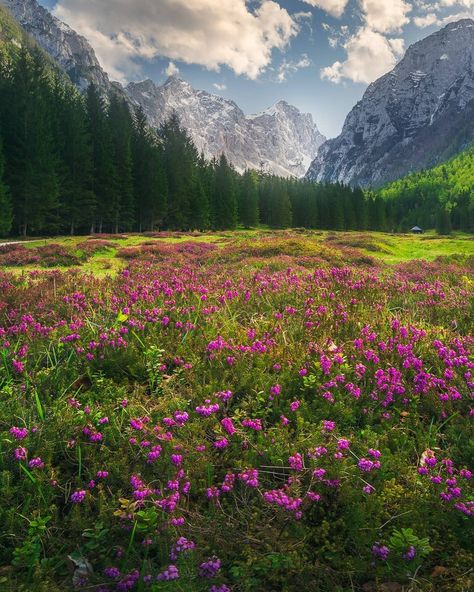 Slovenia Alps, Triglav National Park, Life Of My Dreams, Slovenia Travel, Julian Alps, Overnight Mask, Story Setting, Euro Summer, Modern Wallpaper