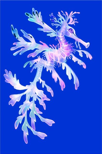 Leaf Sea Dragon, Purple Pastel, Leafy Sea Dragon, Sea Dragon, Beautiful Bugs, Dragon Art, Sale Poster, Independent Artist, Horses