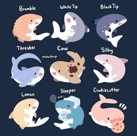 Shark Drawing, Shark Art, Cute Shark, Cute Kawaii Drawings, Kawaii Animals, Dessin Adorable, Cute Little Drawings, Cute Animal Drawings, Kawaii Drawings