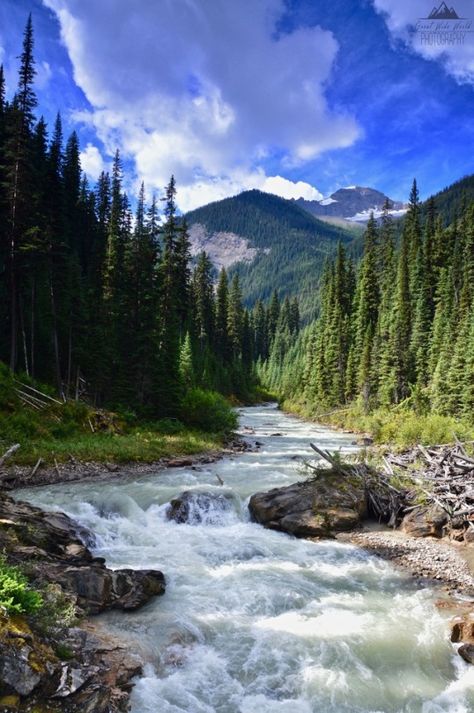 Mountain Stream Photography, Mountain Stream Tattoo, Stream Photography, Instagram Portfolio, Scenic Photos, Mountain Stream, Scenic Photography, World Photography, Beautiful Waterfalls