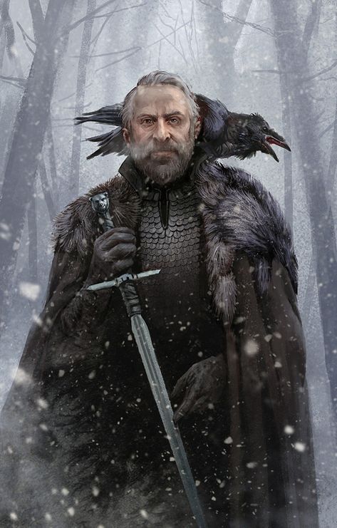 image Jeor Mormont, Heroic Fantasy, Jaime Lannister, Gra O Tron, Game Of Thrones Art, Arya Stark, Fantasy Male, Fantasy Warrior, Arte Fantasy