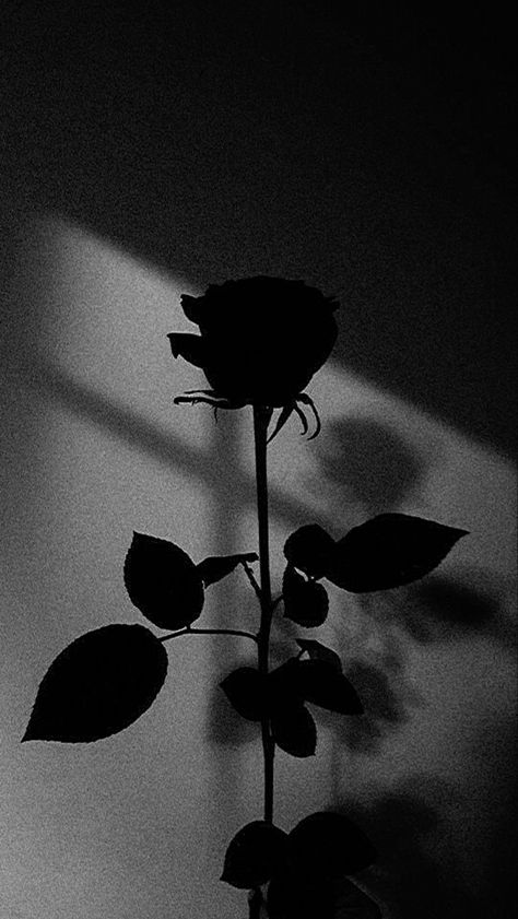 Aesthetic Black Images, Black Roses Wallpaper Aesthetic, Authentic Wallpaper Iphone, Dark Aethstetic Wallpapers, Edgy Wallpaper Aesthetic Iphone, Dark Black Aesthetic Pictures, Grey Asthetics Wallpaper, Dark Asethics, Black Aesthetic Food