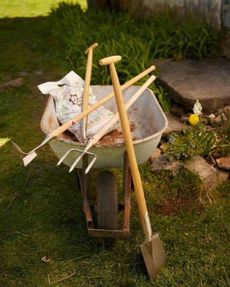 @shopterrain on Instagram: "Gear up for summer gardening with a fresh set of Sneeboer long handled tools." Great Dixter, Dutch Gardens, Garden Shears, Farm Tools, Thriving Garden, Garden Equipment, Wood Router, Wood Tools, Creative Living