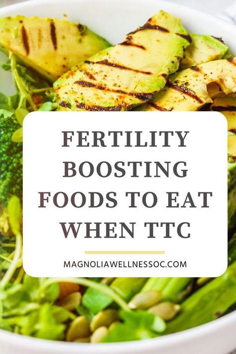 Want to get pregnant quick? Add these fertility super foods to your diet to improve your fertility health. Eating foods that promote fertility when you are trying to conceive can increase egg quality, improve sperm count, balance hormones and boost your chances of IVF success. Magnolia Wellness OC | Natural Fertility, Holistic Health & TCM Fertility Superfoods, Ttc Diet, Foods To Get Pregnant, Ivf Diet, 1200 Calorie Diet Meal Plans, Fertility Smoothie, Chances Of Pregnancy, Egg Quality, Fertility Foods