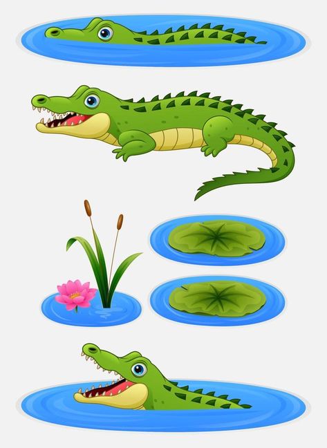 Set of cartoon crocodile and water lily Cartoon Crocodile, Crocodile Cartoon, Jungle Theme Cakes, Water Drawing, Jungle Theme, Water Lily, Free Vector Art, Themed Cakes, Free Vector Images