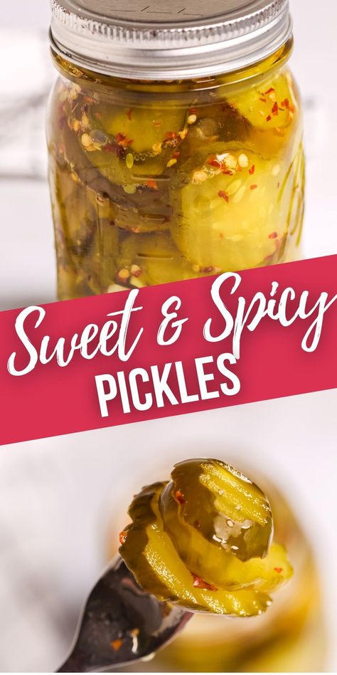 These Sweet and Spicy Pickles are the best pickles to top your burgers with this summer. Brings the perfect amount of sweet and heat. Pickling Pickles Recipes, Easy Sweet Pickles Canning, Sweet Hot Dill Pickles, Killer Spicy Garlic Dill Pickles, How To Make Flavored Pickles, Sweet Pickle Recipes Homemade, Pickle Recipes Spicy, Pickled Pickles Recipes, Fresh Pickles Recipes