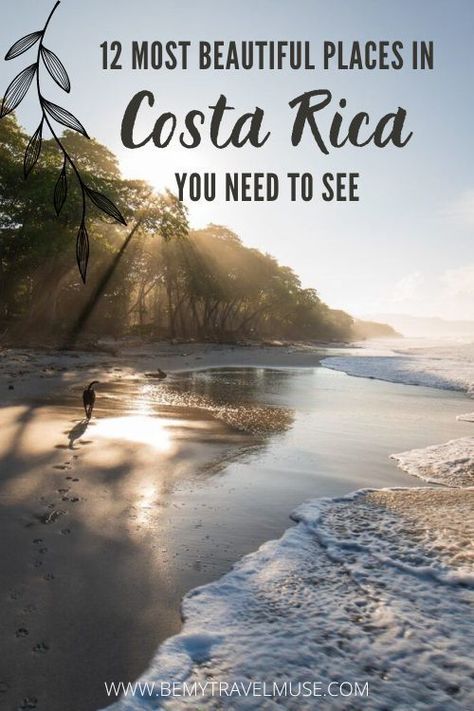 Costa Rica is a beautiful country to travel in, and here are the 12 top spots you must visit when traveling to the country. Click to see the list and plan your Costa Rica itinerary now #CostaRica Country To Travel, Costa Rica Itinerary, Visit Costa Rica, Solo Travel Tips, Costa Rica Travel, Surf Lesson, My Travel, Backpacking Travel, Beautiful Country