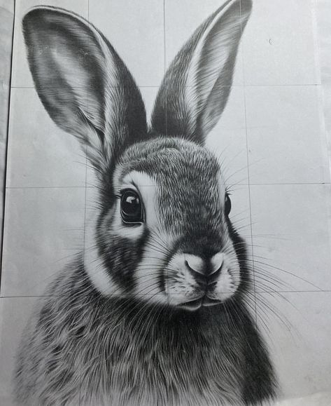 Realistic Bunny Drawing, Bunny Drawing Realistic, Charcole Drawings, Random Sketches, Rabbit Drawing, Bunny Tattoos, Bunny Drawing, Bunny Art, Half Sleeve Tattoo