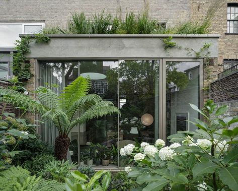 chelsea brut: pricegore evokes brazilian modernism in london External Insulation, Concrete Retaining Walls, London Townhouse, Solid Brick, Kensington And Chelsea, Biophilic Design, Exposed Concrete, Georgian Homes, Tall Plants