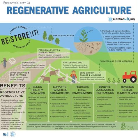 Regenerative agriculture is a conservation and rehabilitation approach to food and farming systems. . 🔄It focuses on topsoil regeneration,… Regenative Agriculture, Allotment Planning, Biodynamic Farming, Biodynamic Gardening, Anti Vegan, Herbs Medicine, Holistic Health Nutrition, Regenerative Farming, Carbon Sink