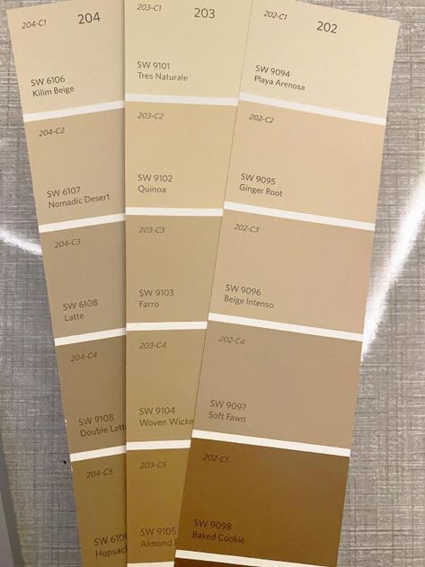 latte-fan-deck-sample Sherwin Williams Latte, Neutral Kitchen Colors, Modern Home Interior, Pintura Exterior, Modern Home Interior Design, Modern Houses Interior, Contemporary Chic, Kitchen Paint, Paint Colors For Home