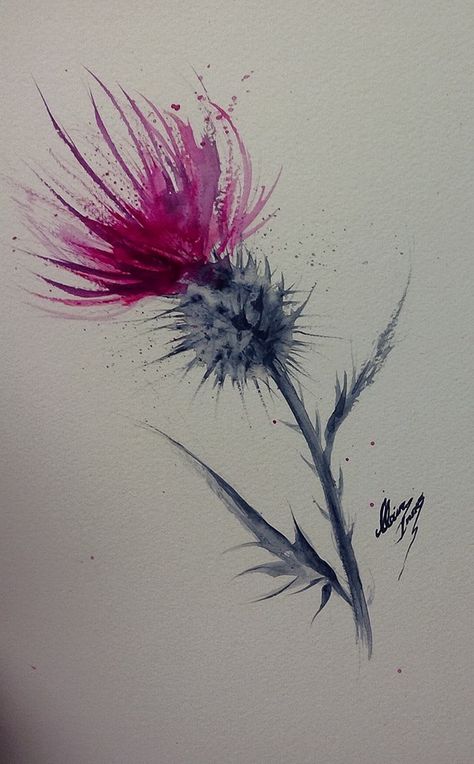 Clare Innes-Thistle Watercolour 12 x 7" (sold and on its way to America) Scottish Thistle Tattoo, Thistle Tattoo, Thistles Art, Watercolor Feather, Thistle Flower, Diy Tattoo, Watercolor Flowers Paintings, Drawing Prints, Flower Tattoos