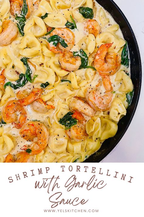 Tortellini Recipes Shrimp, Creamy Shrimp Tortellini Recipes, Shrimp Tortellini Recipes, Shrimp And Tortellini Recipes, Tortellini With Shrimp Recipes, Shrimp With Tortellini Recipe, Cream Spinach Tortellini Shrimp, Shrimp Tortellini With Garlic Sauce, Cheese Tortellini With Shrimp