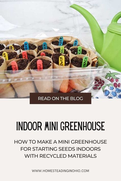 How to make a mini greenhouse from recycled materials. There are several mini greenhouse ideas and ways to make them. I used clear salad containers for a mini greenhouse DIY. Use your mini greenhouse indoor or outdoor. This is a great idea for kids to learn about growing seeds. This is practically free to make, and it saves money for frutal gardening tips Mini Greenhouse Diy, Mini Greenhouse Ideas, Seed Starting Indoors Diy, Mini Greenhouse Indoor, Diy Mini Greenhouse, Greenhouse Diy, Start Seeds Indoors, Growing Herbs Indoors, Seed Starter Kit